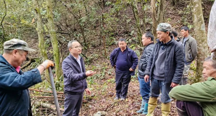 通道县地连林场交通新闻更新